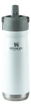 Garrafa Térmica Flip Straw  - 650ml Cor variadas