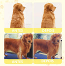 【Escova Valorizadora Elétrica - Escova Pet】 Escova Cachorros E Gatos, Escova Vapor 3 Em 1, -Pente Massageador Removedor de Pelos Recarregável USB, Escova Tira Pelos Cães E Gatos, Stam-Autolimpante Premium, "Shop Brasil"