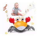 Brinquedo Caranguejo, Brinquedo Caranguejo Com Música