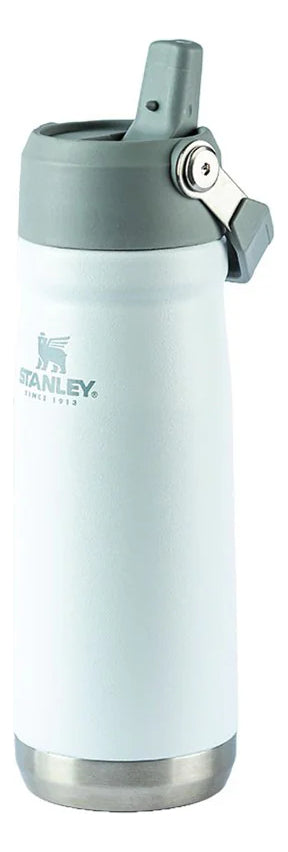 Garrafa Térmica Flip Straw  - 650ml Cor variadas