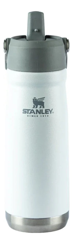 Garrafa Térmica Flip Straw  - 650ml Cor variadas