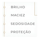 Braé Divine Ampola De Tratamento Power Dose 13ml