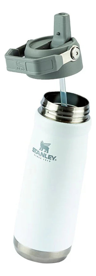 Garrafa Térmica Flip Straw  - 650ml Cor variadas